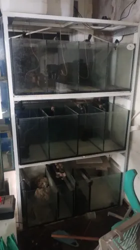 Bateria de aquários