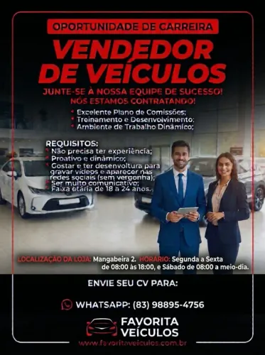 Vendedor de veículos