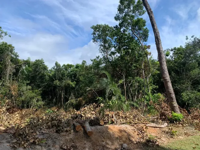 Lote/Terreno para venda com 700 metros quadrados em Praia do Forte - Mata de São João - Ba