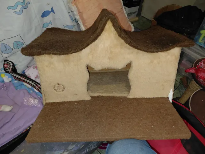 Casa gato 