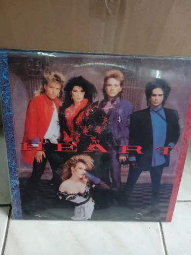Disco de vinil importado 