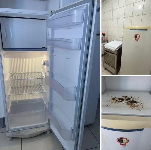 Vendo geladeira 