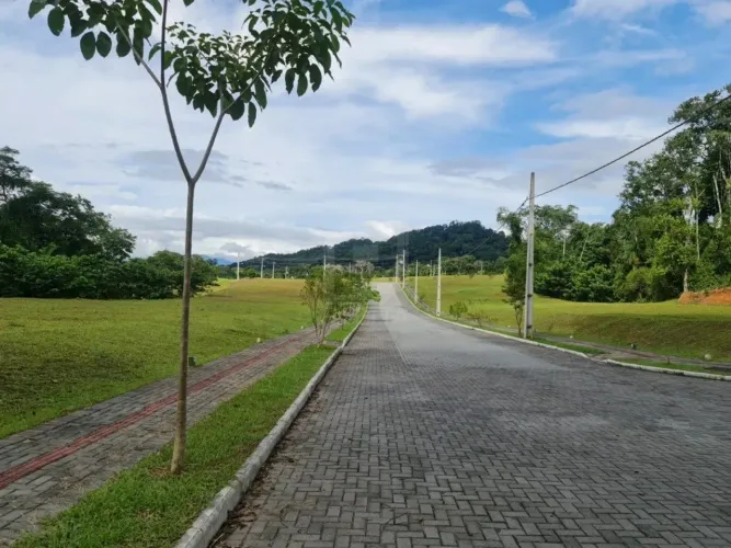 Terreno no Loteamento Arbore I no bairro Itoupavazinha