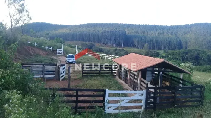 Fazenda em Rodovia Vital Brasil - Lberdade - Mg - Liberdade - MG - Liberdade/MG