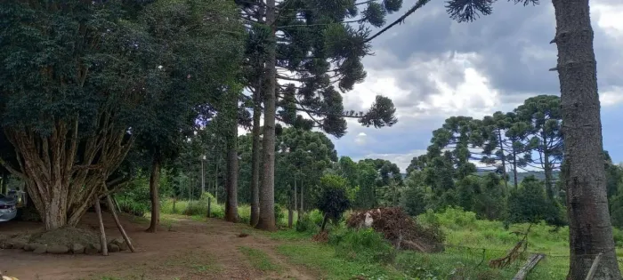 Chácara à Venda, Catanduva, Carambeí, Pr