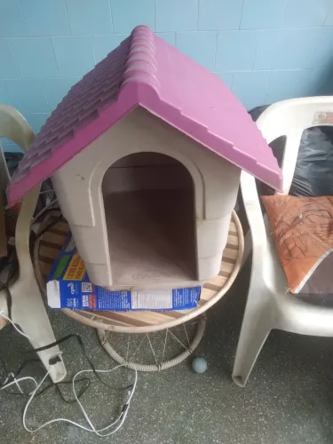 Casinha para gatinho