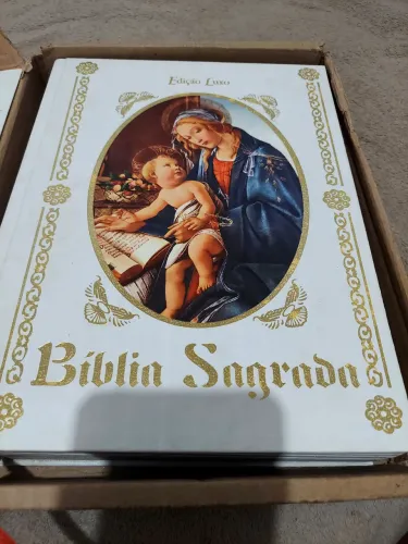 Bíblia sagrada Padre Marcelo Rossi 