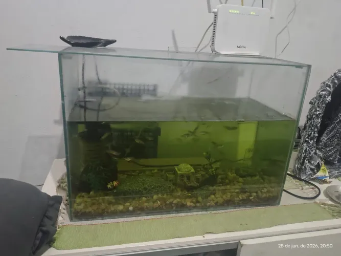Aquário/ Só o aquário