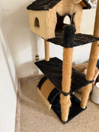 Gatos acessórios 