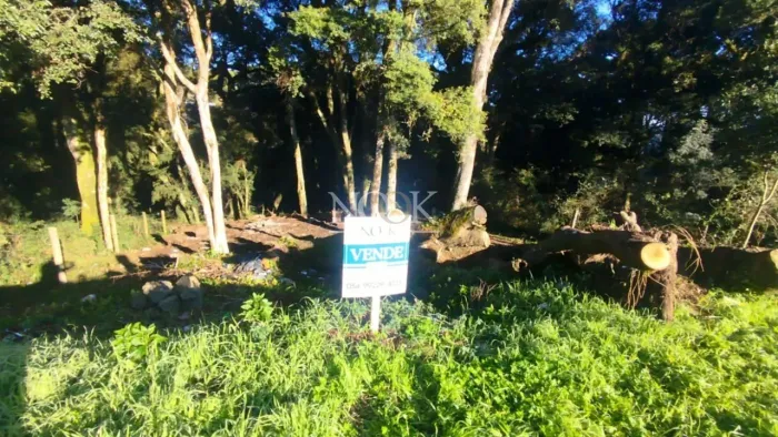 Terreno em Canela