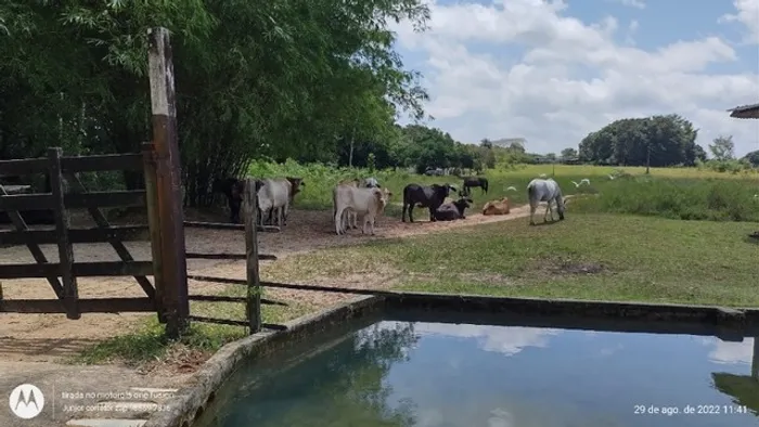 R$9 milhões fazenda desativada com 190 alqueires 70 % aberta