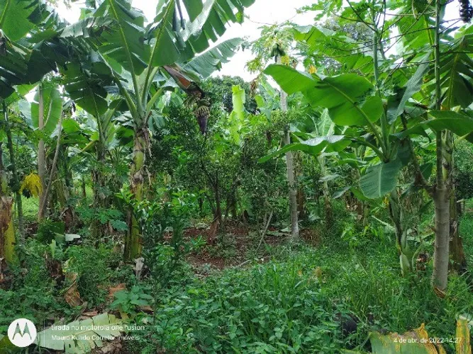 Chácara de 3.000,00 no Condomínio Marajoara em Ibiporã.