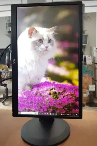Monitor regulagem de altura e também fica na vertical 
