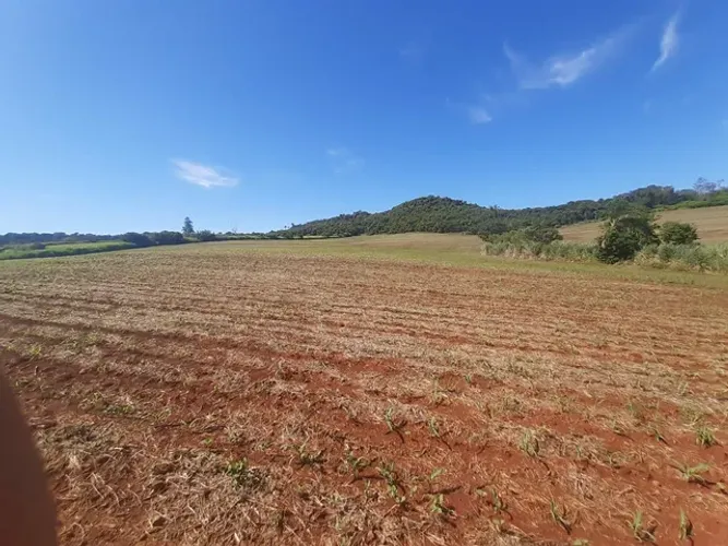 Sitio de 31 alqueiro 28 planta