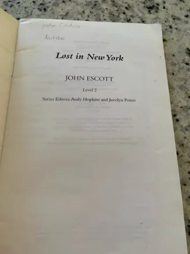 Livro Lost In New York