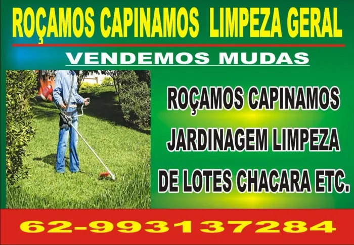 Roçagem capinamos limpeza de lotes chácaras etc