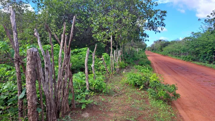 13 hectares no litoral para sitio ou fazenda