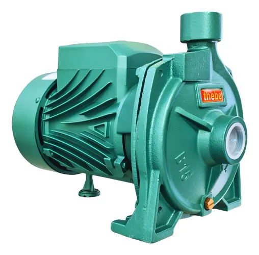 BOMBA CENTRÍFUGA 1.5CV 127/220V VAZÃO MAX 9,5m³/h B-15 THEBE