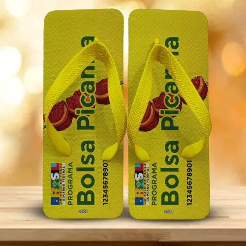 Chinelo Quadrado Temático Bolsa Picanha - Para Quem Tem Estilo e Bom Humor nos Pés!