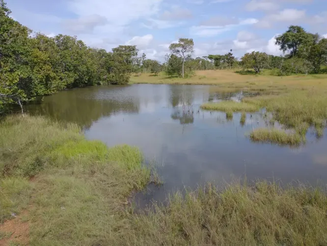 VENDO FAZENDA PRÓXIMO DE ITAPECURU MIRIM E A 2 HORAS DA CAPITAL SÃO LUÍS MARANHÃO