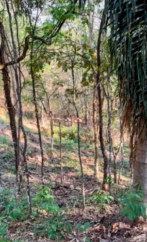 Terreno Padrão em Condomínio em Jambeiro