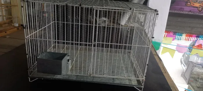 Gaiola para coelho