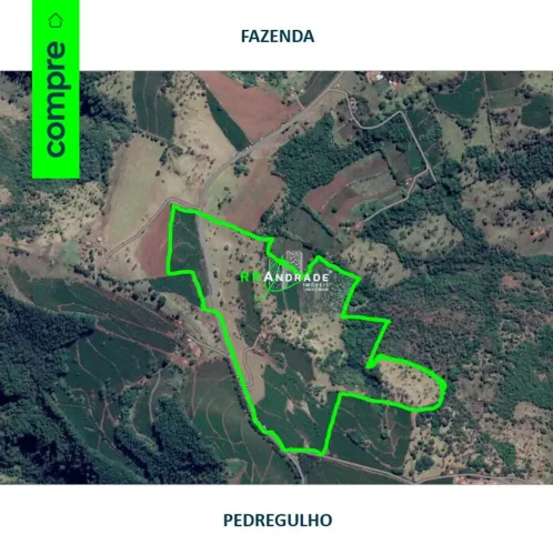 Fazenda Sentido Pedregulho