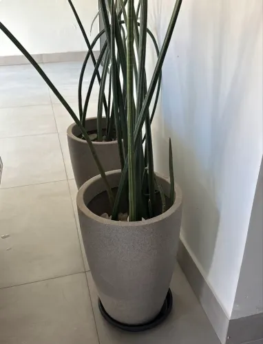 Vaso Decorativo Cinza com Lança de São Jorge Natural