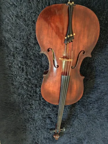 Violoncelo