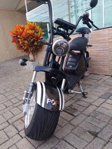 Scooter 2024