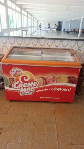 Freezer horizontal
