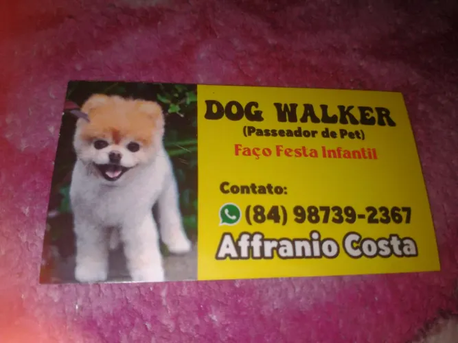 Passeador de pet