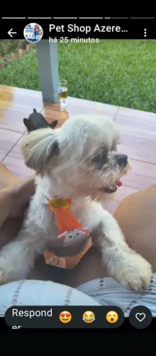 Doar pra quem realmente vai cuidar muito bem dele.