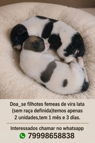 Doação 