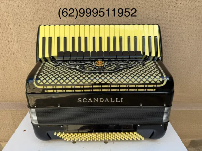 Acordeon sanfona gaita italiana 120 baixos em 4/5 oitavada com desmanche lateral 