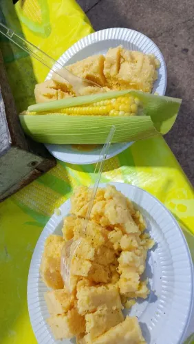 Pamonha C queijo milho cozido. Curau de milho ? *