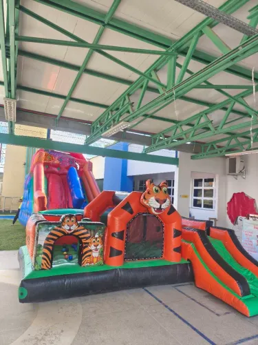 Briquedos inflável, churros, crepes, algodão doce, pipoca pula pula e piscina de bolinha