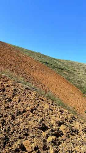 Prestação de serviços agrícolas