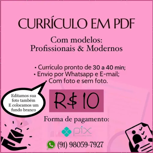 CURRÍCULOS PROFISSIONAIS EM PDF 