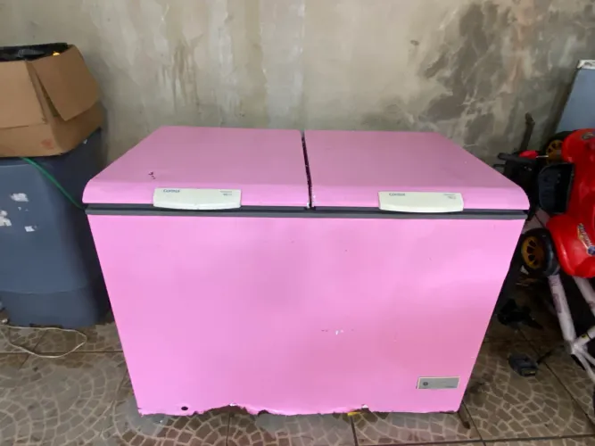 Freezer horizontal