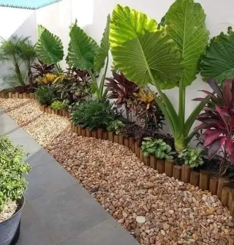 PAISAGISMO E PLANTAS