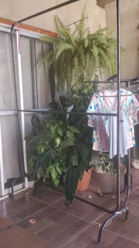 Arara de roupa