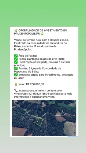 Faxina