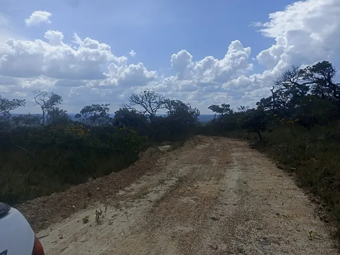 Fazenda 700 hectares com Altitude pra café ..1.950.000.00