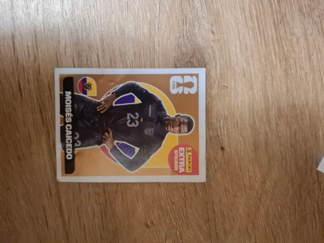 Moisés caicedo legend bronze