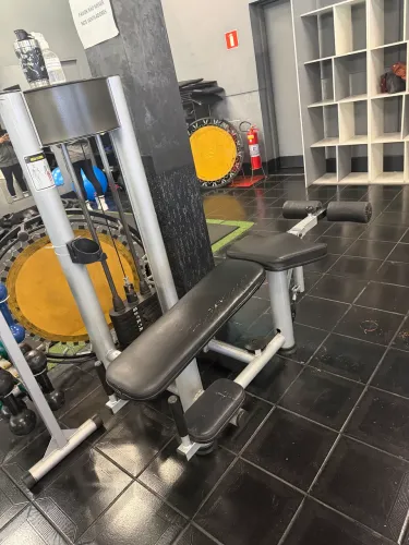 Mesa flexora 