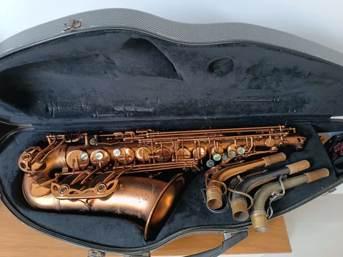 Sax Alto Vermont Paris