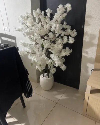 Árvore Ornamental 1m e 70cm