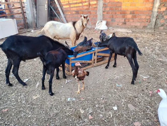 Vende-se