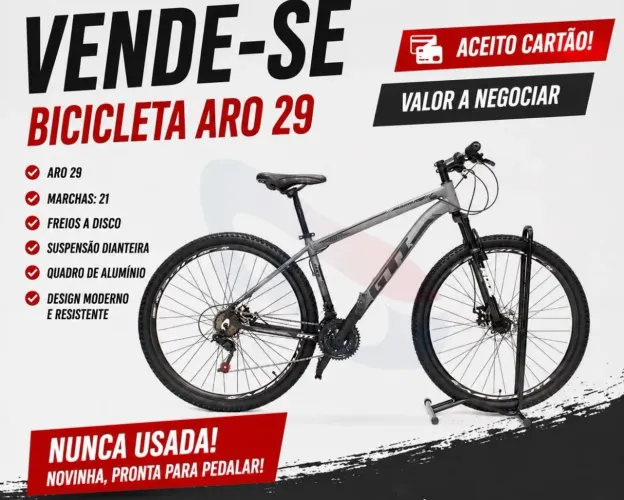 Bicicleta Aro 29